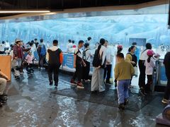 -世界之窗阿尔卑斯冰雪世界