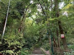 -杭州黄龙洞