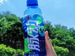-黔灵山公园