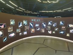 -香港科学馆
