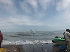 -尼甘布海鲜市场