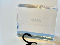 -BLACKSWAN黑天鹅(环球店)