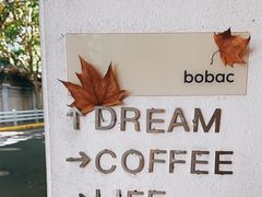 -BOBAC