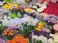 -双季花艺园艺市场(浦东店)