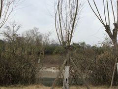 -白鹭湾湿地公园