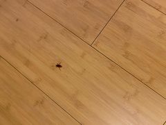 -全季酒店(广州越秀公园店)