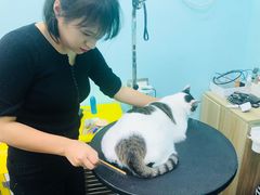 -宠伴小精灵宠物店(鼓楼店)