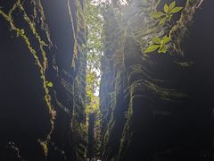 -梭布垭石林景区