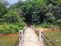 -广州白江湖森林公园