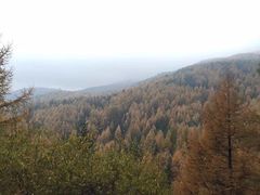 -芦芽山旅游度假区