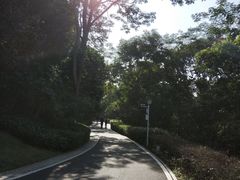 -玉树公园