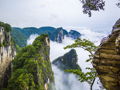 -蝶舞清江·恩施云顶景区(黄鹤峰林)