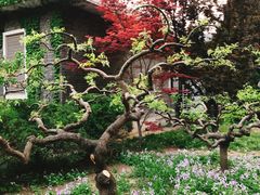 -清华大学-甲所餐厅