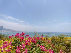 -小麦岛公园