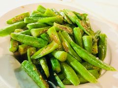 -越海渔村