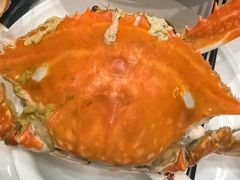 -北塘海鲜·天津菜(大光明桥旗舰店)