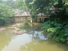 -南昌动物园