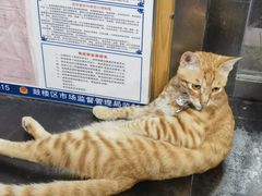 -箪食记(汉口路店)