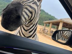 -杭州野生动物世界