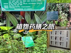 -广西壮族自治区药用植物园
