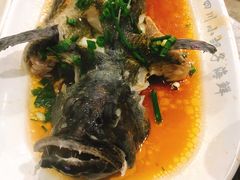 石斑鱼清蒸-四川小胡子海鲜(丁村万人海鲜广场店)