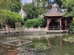 -碧江金楼