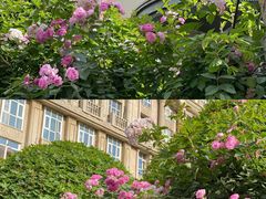 -金汤宴餐厅·粤菜(德云社店)