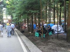 -武陵山森林公园