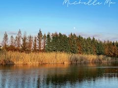 -虎丘湿地公园