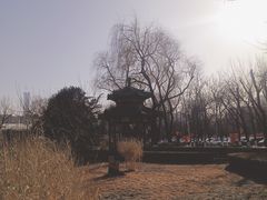 -中国农业博物馆