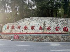 -广州市流溪河国家森林公园