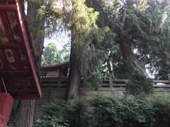 -七曲山风景区