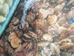 -蓝珊甄选海鲜自助·火锅大排档(近阿那亚店)