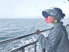 -海驴岛(荣成市)
