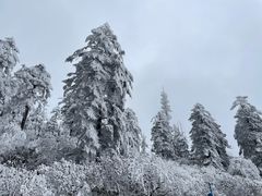 -瓦屋山景区