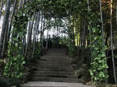 -杭州黄龙洞