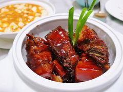 红烧肉-蝶园·装修中(BFC外滩金融中心店)