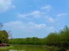 -上海海湾国家森林公园