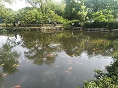 -西湖外事游船(花港观鱼码头)