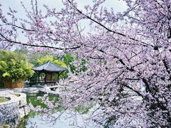 -武汉园博园(武汉自然博物馆)