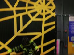 -Tenker Club弹刻极限主题公园 · 蹦床 · 团建 · 生日派对(大关店)