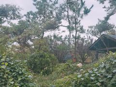 -威海天沐度假区温泉