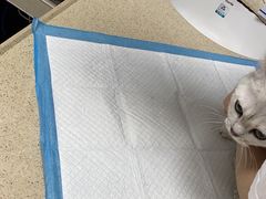 -宠颐生嘉德动物医院