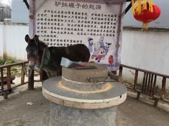 -元鼎宝驴香·全驴宴(江宁店)