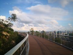 -板樟山森林公园