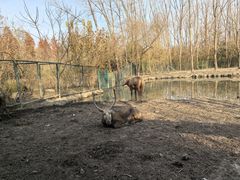 -溱湖国家湿地公园