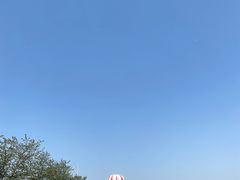 -金卉庄园