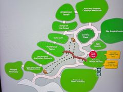 -新加坡飞禽公园