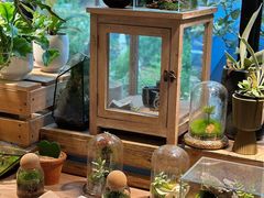 -自由生长植物工作室(深港花卉中心店)