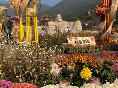 -北京十三陵国家森林公园蟒山景区